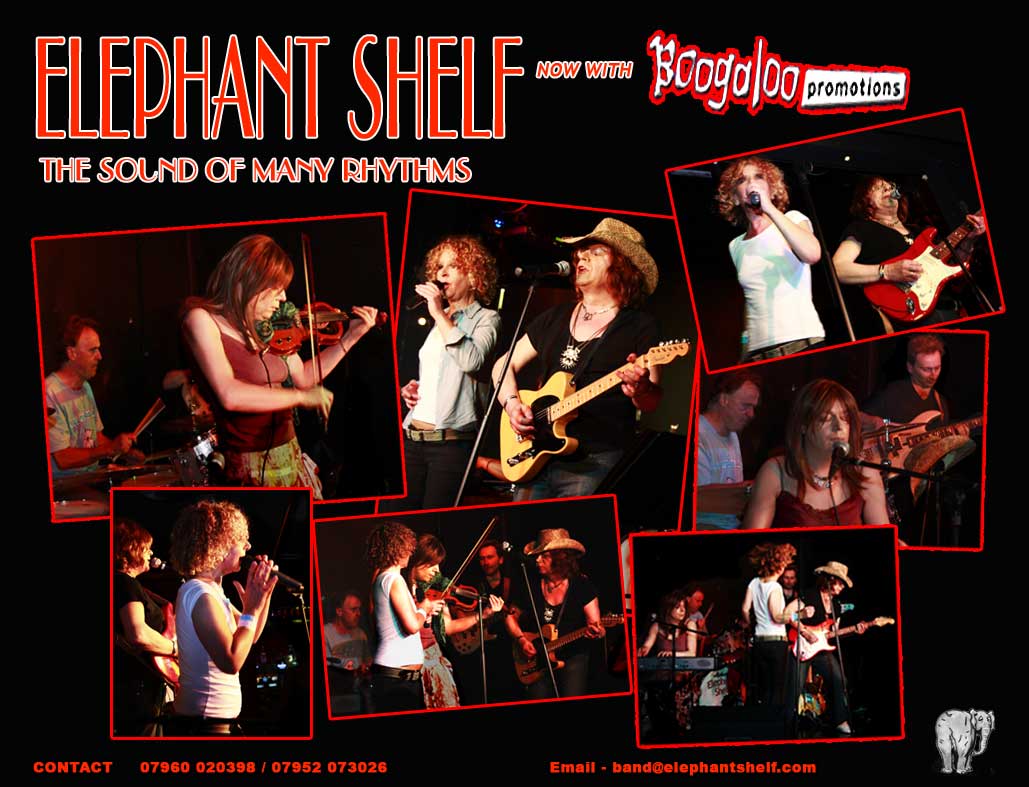 Elephant Shelf Gig Photographs